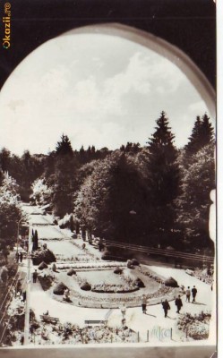 S1574 GOVORA Vederea din parc CIRCULAT 1967 foto