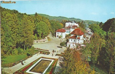 S1611 GOVORA CIRCULAT 1974 foto