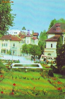 S1631 MUZEUL GOVORA Vedere din parc circulat 1981 foto