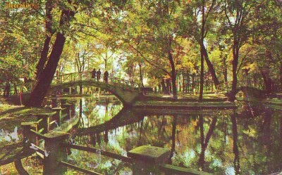 S11645 BOTOSANI Vedere din parc CIRCULAT foto