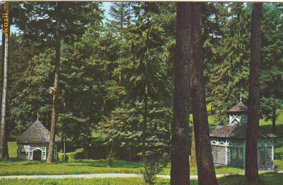 S12068 BORSEC CIRCULAT 1979 foto