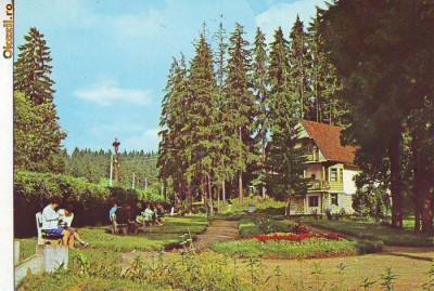 S12077 BORSEC NECIRCULAT foto