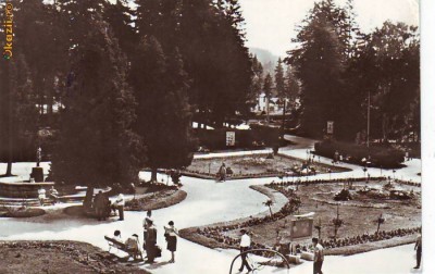 S12019 BORSEC Vedere din parc CIRCULAT 1968 foto