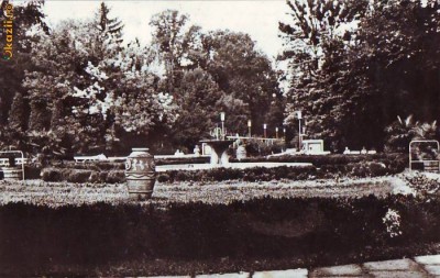 S11950 BUZIAS Vedere din parc CIRCULAT 1967 foto