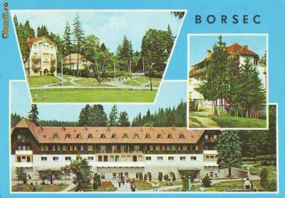 S12038 BORSEC CIRCULAT 1972 foto