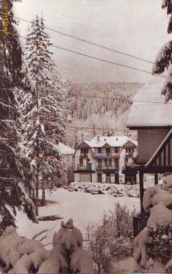 S12023 BORSEC CIRCULAT foto