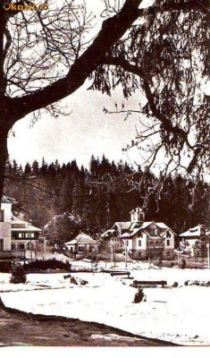 S12026 IARNA LA BORSEC CIRCULAT foto