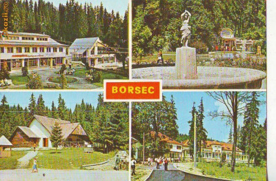 S12034 BORSEC CIRCULAT 1981 foto