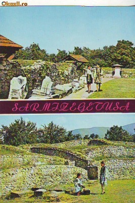 S12184 SARMIZEGETUSA NECIRCULAT foto