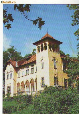 S12162 MUZEUL OCTAVIAN GOGA Castelul NECIRCULAT foto