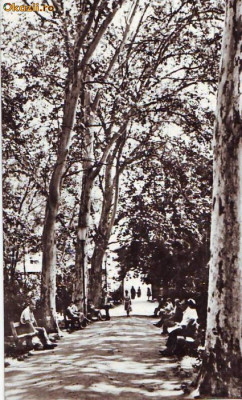 S11959 BUZIAS Vedere din parc CIRCULAT 1967 foto