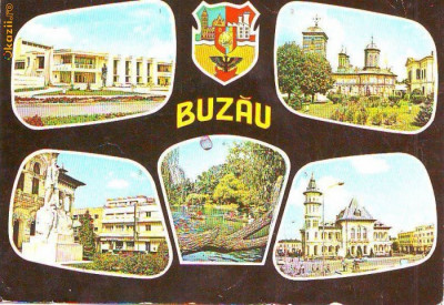 S11900 BUZAU CIRCULAT foto