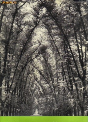 Gunter Beyer , Klaus Beyer - Deutsche garten foto