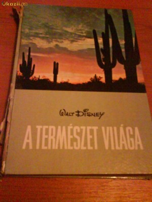 1331 Walt Disney-Atermeszet vilaga foto