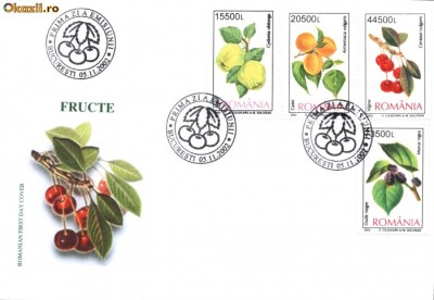 FDC Fructe foto