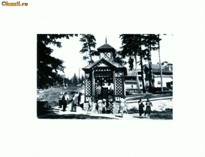 CP114-47 -Borsec -Izvorul de apa minerala ,,Horia foto