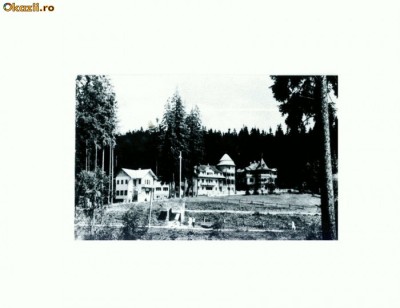 CP114-48 -Borsec -circulata 1968 foto