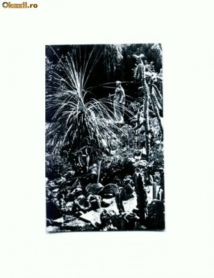 CP114-76 -Cluj -Gradina Botanica -RPR -circulata 1964 foto