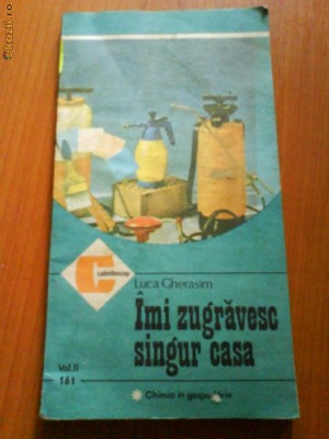 1577 Imi zugravesc singur casa Luca Gherasim foto