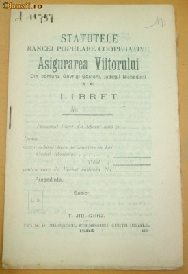 Statut Banca ,,ASIGURAREA VIITORULUI&amp;amp;quot; TJiu 1903 foto
