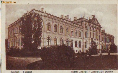 B3279 Bucuresti Muzeul Zoologic necirculata foto