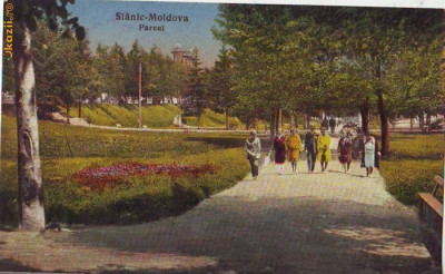 B8362 Slanic Moldova parcul oameni pe alee circulata foto