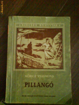 2369 Moricz Zsigmond Pillango AllamoErodalmi foto