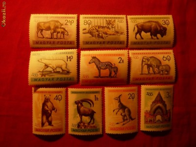 SERIE- FAUNA- Gradina Zoologica 1961 UNGARIA ,10 val. foto