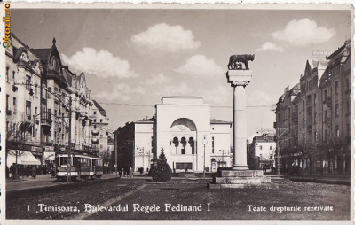 Timisoara - Bulevardul Regele Ferdinand, Statuia Lupoaica-tramvai foto