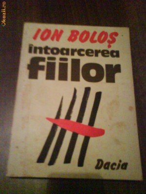 2492 Intoarcerea Fiilor ion Bolos foto