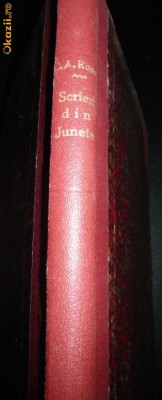 CA Rosetti, Scrieri din Junete si esiliu, Tomul I, 1885 foto