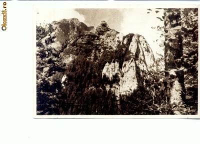 CP64-37-Bucegi-Bucsoiul-RPR(necirculata) foto