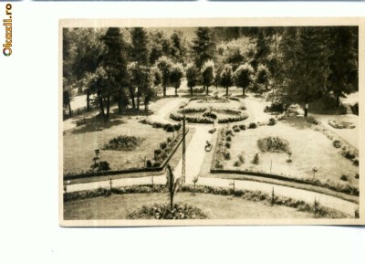 CP64-47-Calimanesti-Vedere din parc-RPR(necirculata) foto