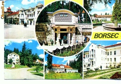 CP84-16 -Borsec -circulata 1979. foto