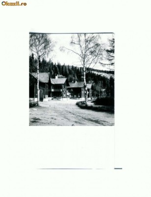 CP114-29 -Muntii Cibinului -Complexul turistic Paltinis -RPR1965 foto