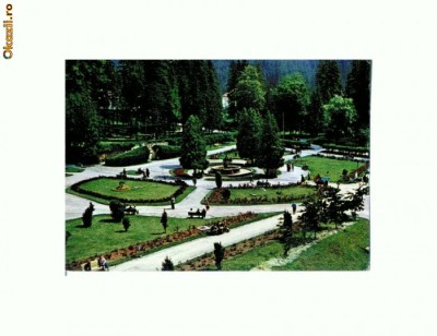 CP115-77 -Borsec -Parcul central -circulata 1972 foto
