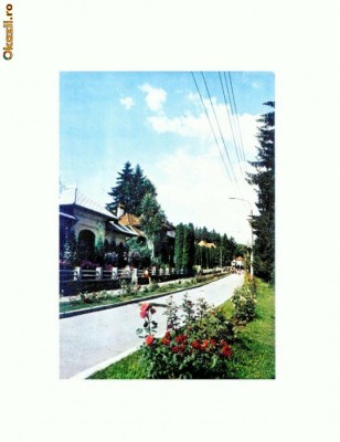 CP115-92 -Olanesti. Aleea Trandafirilor -circulata1986 ? foto