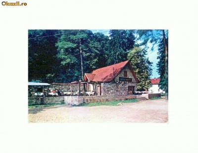 CP115-100 -Jigodin. Restaurantul ,,Izvorul Rece -necirculata foto