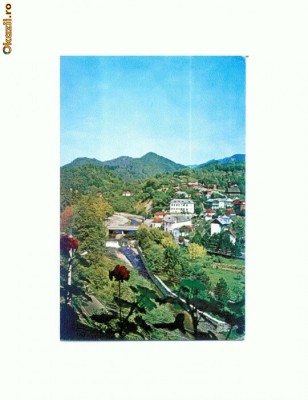 CP115-86 -Olanesti -circulata 1974(pod) foto