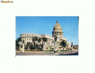 CP180-57 Academia de Ciencias (Cuba)- necirculata foto