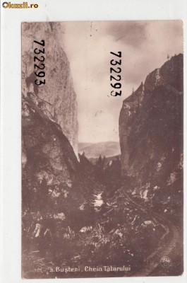 B8906 Busteni Cheia Tatarului circulata 1933 foto