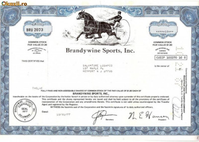 207 Actiuni SUA -Brandywine Sports, Inc. -seria BRU 2073 foto