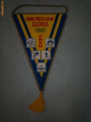22 Fanion - CLUBUL SPORTIV SCOLAR GLORIA ARAD foto