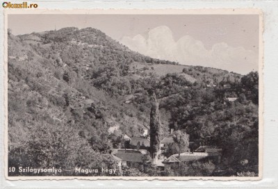 B11202 Simleul Silvaniei circulata 1912 foto