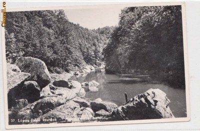B11201 Targu Lapus circulata 1915 foto