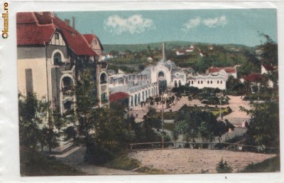 B9522 Baia Ocna necirculata foto