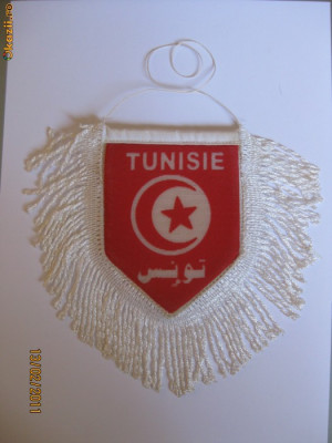 FANION CU STEAGUL TUNISIAN foto