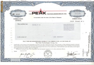 458 Actiuni -The Peak Technologies Group, INC. -seria PT 3295 foto