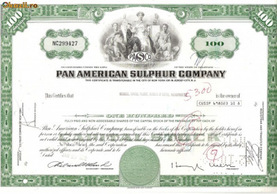 538 Actiuni -Pan American Sulphur Company -seria NC299427 foto