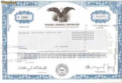 541 Actiuni -Peekskill Financial Corporation -seria P 1089 foto